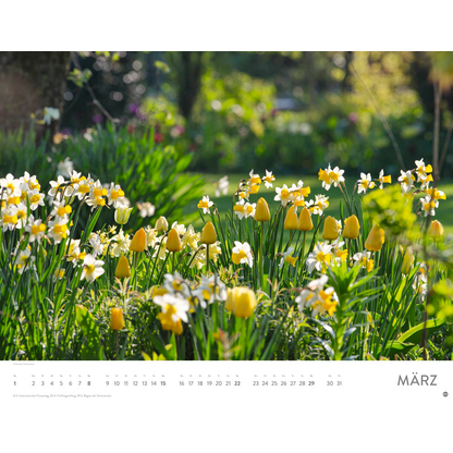 Artikelbild 4 für Heye Monats-Wandkalender Gartenparadies 2026, 1 St., Artikelnummer 551141