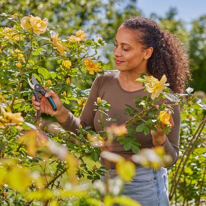 Artikelbild 2 für GARDENA PremiumCut Flex Gartenschere, Artikelnummer 652598