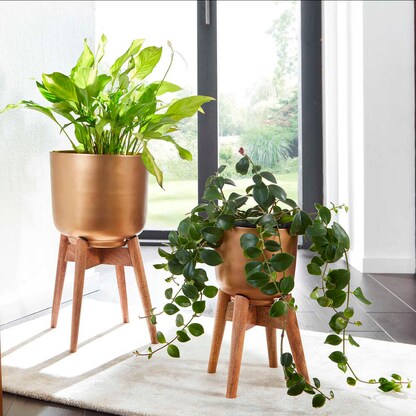 Artikelbild 2 für WOHNLING Pflanzenständer-Set Metall, Ø 31,0/25,0 cm gold, 2 St., Artikelnummer 166289