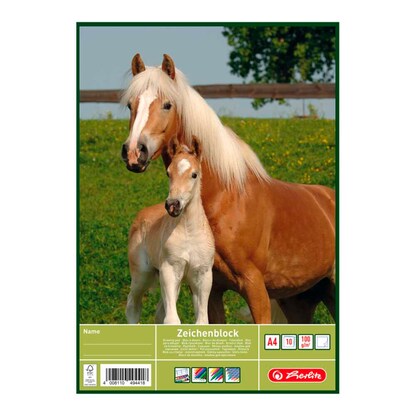 Artikelbild 3 für herlitz Zeichenblock DIN A4 100 g/qm, 20 Blatt, 1 Block, Artikelnummer 792786