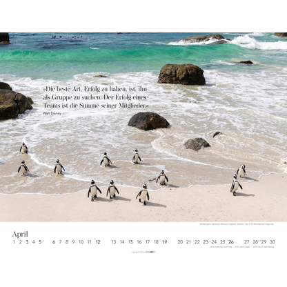 Artikelbild 5 für Weingarten Monats-Wandkalender Wege des Erfolgs 2026, 1 St., Artikelnummer 551087