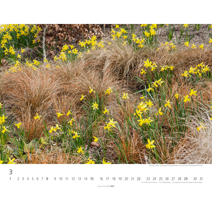 Artikelbild 4 für Weingarten Monats-Wandkalender Gräser 2026, 1 St., Artikelnummer 551164