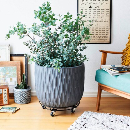 Artikelbild 2 für WAGNER® design yourself Pflanzenroller GH 0934 Metall, Ø 38,0 cm schwarz rund, 1 St., Artikelnummer 419829