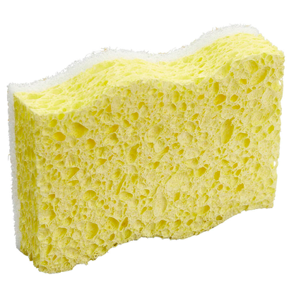 Artikelbild 8 für GUT&GÜNSTIG Schwämme, 2 St., Artikelnummer 990857