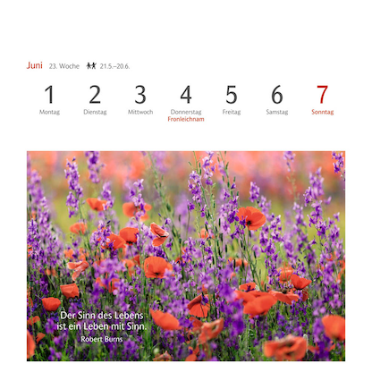 Artikelbild 5 für Harenberg Postkartenkalender Momente des Glücks 2026, 1 St., Artikelnummer 551277