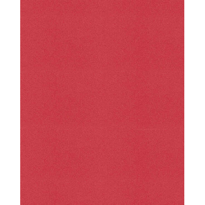 Artikelbild 4 für folia Moosgummi TON IN TON rot 10 Blatt, Artikelnummer 776066