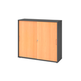 Artikelbild 1 für HAMMERBACHER Schiebetürenschrank Haziender, V1753S/G/6/BS buche, grafit 2 Fachböden 120,0 x 40,0 x 110,0 cm, Artikelnummer 377669