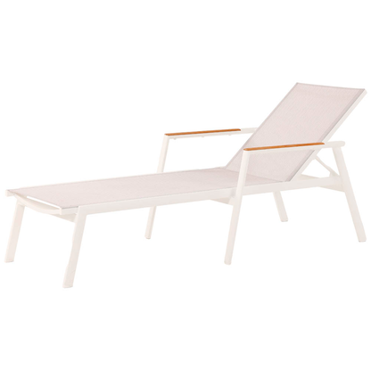 Artikelbild für BEST Sonnenliege Paros braun Aluminium, Artikelnummer 660619