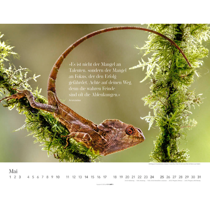 Artikelbild 6 für Weingarten Monats-Wandkalender Wege des Erfolgs 2026, 1 St., Artikelnummer 551087