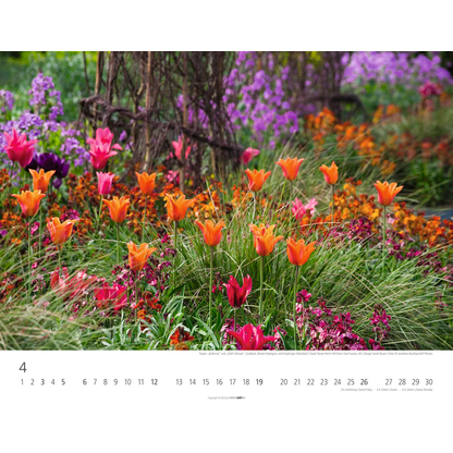 Artikelbild 5 für Weingarten Monats-Wandkalender Gräser 2026, 1 St., Artikelnummer 551164