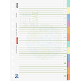 Artikelbild 1 für BRUNNEN Ordnerregister Recycling DIN A4 Vollformat blanko beige 12-teilig, 1 Satz, Artikelnummer 926384