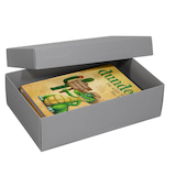 Artikelbild 1 für BUNTBOX L Geschenkboxen 3,6 l grau 26,6 x 17,2 x 7,8 cm, 2 St., Artikelnummer 303901