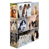 Artikelbild 1 für HERMA Motivordner Hunde 7,0 cm DIN A4, 1 St., Artikelnummer 508162