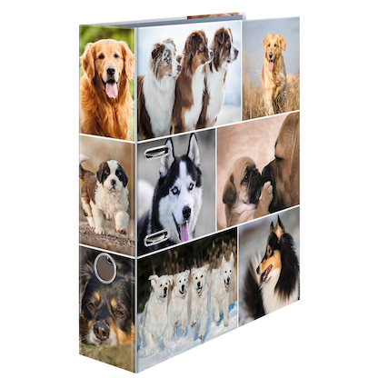 Artikelbild für HERMA Motivordner Hunde 7,0 cm DIN A4, 1 St., Artikelnummer 508162