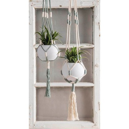 Artikelbild 3 für Rayher Makramee Garn eukalyptus, sand Ø 2,2 mm, 2 St., Artikelnummer 686489