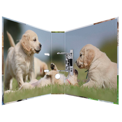 Artikelbild 2 für HERMA Motivordner Hunde 7,0 cm DIN A4, 1 St., Artikelnummer 508162