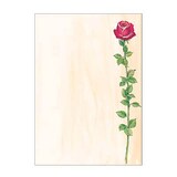 Artikelbild 1 für SIGEL Motivpapier Rose Bloom Motiv DIN A4 90 g/qm 25 Blatt, Artikelnummer 569095