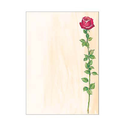 Artikelbild für SIGEL Motivpapier Rose Bloom Motiv DIN A4 90 g/qm 25 Blatt, Artikelnummer 569095