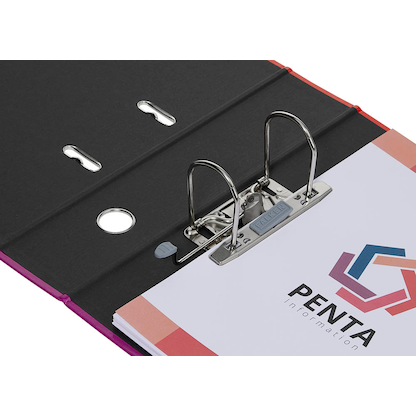 Artikelbild 4 für FALKEN Harlekin Motivordner 8,0 cm DIN A4, 1 St., Artikelnummer 265099