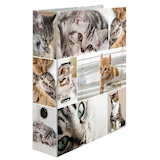 Artikelbild 1 für HERMA Motivordner Katzen 7,0 cm DIN A4, 1 St., Artikelnummer 508186