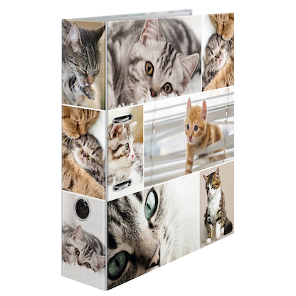 Artikelbild für HERMA Motivordner Katzen 7,0 cm DIN A4, 1 St., Artikelnummer 508186