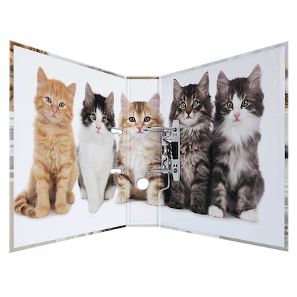 Artikelbild 2 für HERMA Motivordner Katzen 7,0 cm DIN A4, 1 St., Artikelnummer 508186