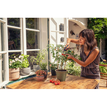 Artikelbild 4 für GARDENA FreshCut mit Kräuterschildern Gartenschere, Artikelnummer 211916