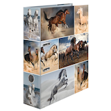 Artikelbild 1 für HERMA Motivordner Pferde 7,0 cm DIN A4, 1 St., Artikelnummer 508155