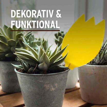 Artikelbild 4 für SUBSTRAL® Naturen® Fruchtfliegenfalle Gelbsticker Bio gelb, 1 St., Artikelnummer 368359