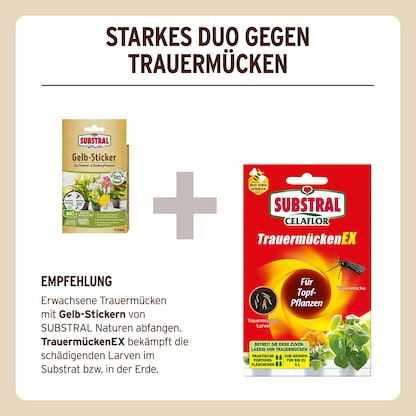 Artikelbild 8 für SUBSTRAL® Naturen® Fruchtfliegenfalle Gelbsticker Bio gelb, 1 St., Artikelnummer 368359