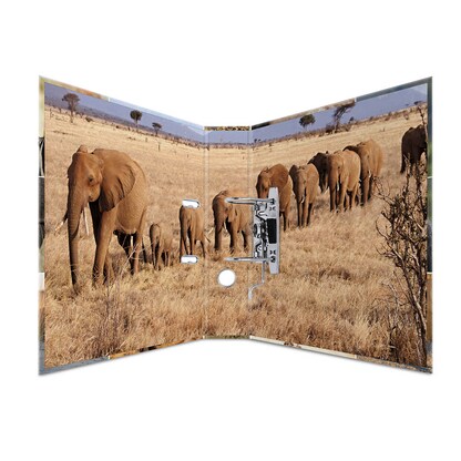 Artikelbild 2 für HERMA Motivordner Afrika Tiere 7,0 cm DIN A4, 1 St., Artikelnummer 508402