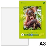 Artikelbild 1 für Edition Dürer Zeichenblock green DIN A3 100 g/qm, 18 Blatt, 1 Block, Artikelnummer 421523