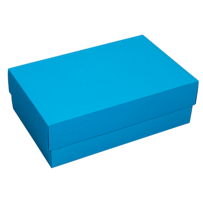 Artikelbild 2 für BUNTBOX XL Geschenkboxen 8,6 l blau 34,0 x 22,0 x 11,5 cm, 1 St., Artikelnummer 303893