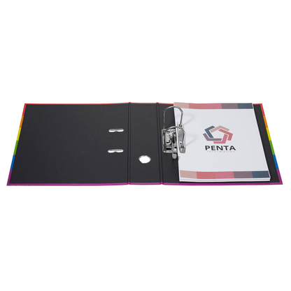 Artikelbild 3 für FALKEN Harlekin Motivordner 8,0 cm DIN A4, 1 St., Artikelnummer 265099