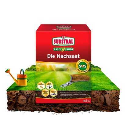 Artikelbild 4 für SUBSTRAL® DIE NACHSAAT Rasensamen 400 g, Artikelnummer 368938