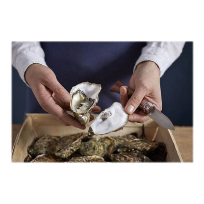 Artikelbild 3 für OPINEL Austernmesser No. 9 silber, braun, Klinge: 6,5 cm, 1 St., Artikelnummer 259281