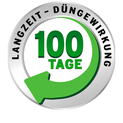 Artikelbild 4 für SUBSTRAL® DIE NACHSAAT Rasensamen 1 kg, Artikelnummer 368854