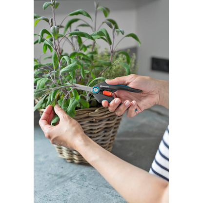 Artikelbild 5 für GARDENA FreshCut mit Kräuterschildern Gartenschere, Artikelnummer 211916