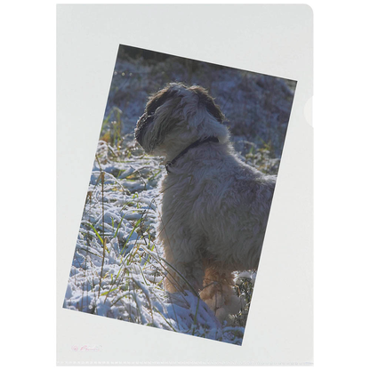 Artikelbild 3 für herlitz Sichthüllen DIN A4 glasklar glatt 0,11 mm, 100 St., Artikelnummer 351811