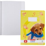 Artikelbild 1 für herlitz Schulheft x.book Lineatur 8f rautiert DIN A4 Außenrand, 16 Blatt, 1 St., Artikelnummer 891683