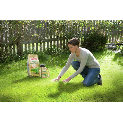 Artikelbild 3 für SUBSTRAL® Magisches Rasenpflaster Rasensamen 1,0 kg, Artikelnummer 368967