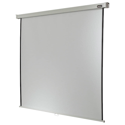 Artikelbild für celexon Rolloleinwand Professional 1:1, 300 x 300 cm Projektionsfläche, Artikelnummer 693901