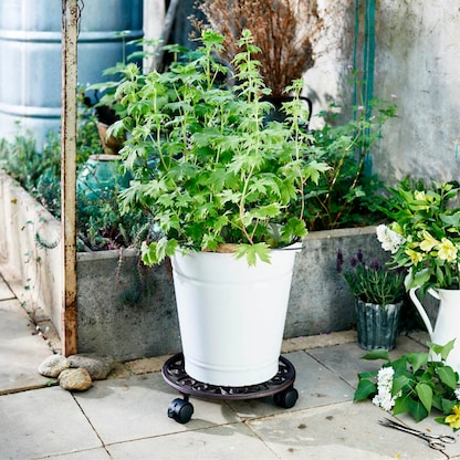 Artikelbild 3 für WAGNER® design yourself Pflanzenroller ANTIK GH 0925 Metall, Ø 29,0 cm dunkelbraun rund, 1 St., Artikelnummer 419998