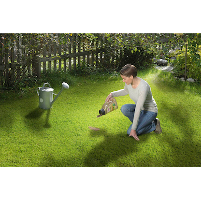 Artikelbild 5 für SUBSTRAL® Magisches Rasenpflaster Rasensamen 1,0 kg, Artikelnummer 368967
