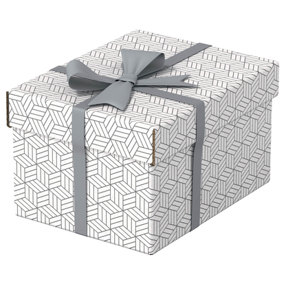 Artikelbild 3 für Esselte Home Aufbewahrungsboxen 6,5 l weiß 20,0 x 25,5 x 15,0 cm, 3 St., Artikelnummer 652244