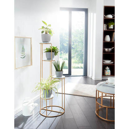 Artikelbild 8 für WOHNLING Pflanzenständer Metall, Ø 36,5 cm gold rund, 1 St., Artikelnummer 166498