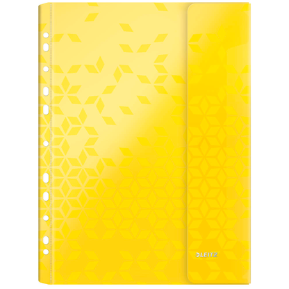 Artikelbild 3 für LEITZ Prospekthüllen DIN A4 farbsortiert genarbt 0,20 mm, 6 St., Artikelnummer 386399