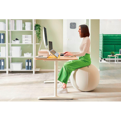 Artikelbild 6 für LEITZ Ergo Active Sitzball hellgrau 65,0 cm, Artikelnummer 998620