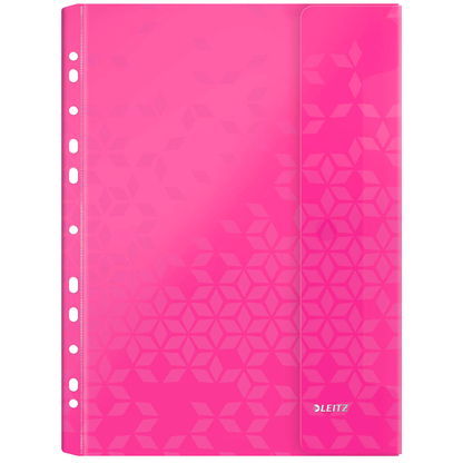 Artikelbild 8 für LEITZ Prospekthüllen DIN A4 farbsortiert genarbt 0,20 mm, 6 St., Artikelnummer 386399