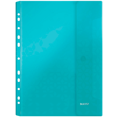 Artikelbild 5 für LEITZ Prospekthüllen DIN A4 farbsortiert genarbt 0,20 mm, 6 St., Artikelnummer 386399